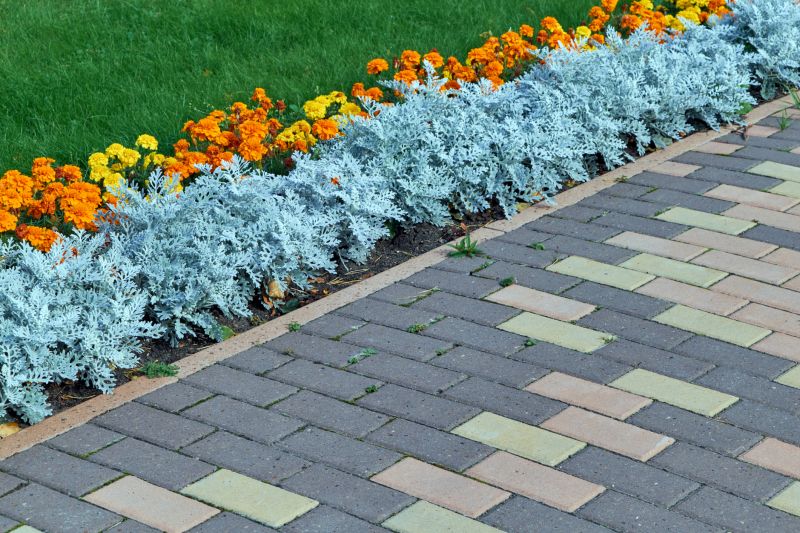 Concrete Border Repair